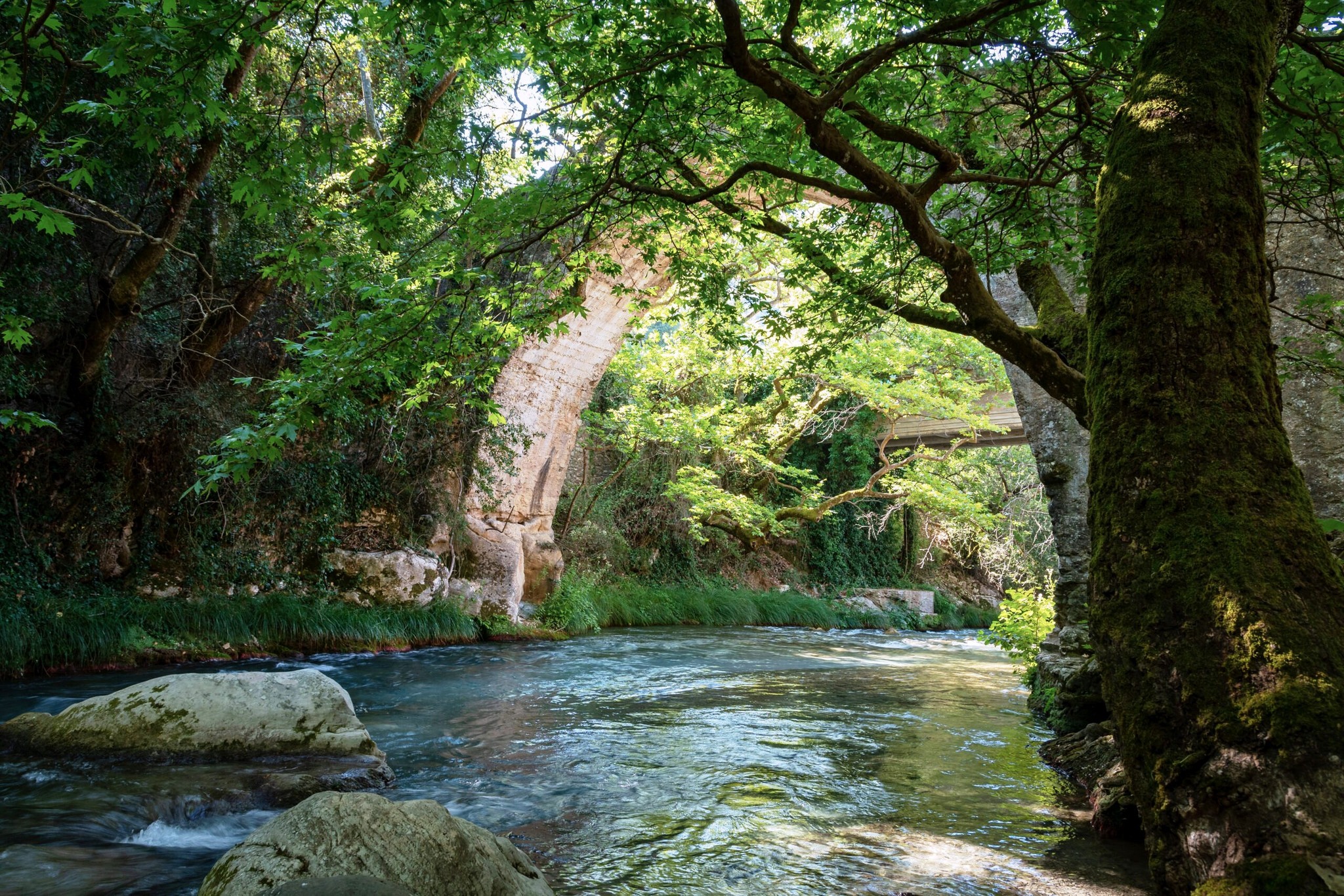 Οι Φευγάτοι - Εκτός Δρόμου Rafting & Rappel Λούσιο ποταμό 