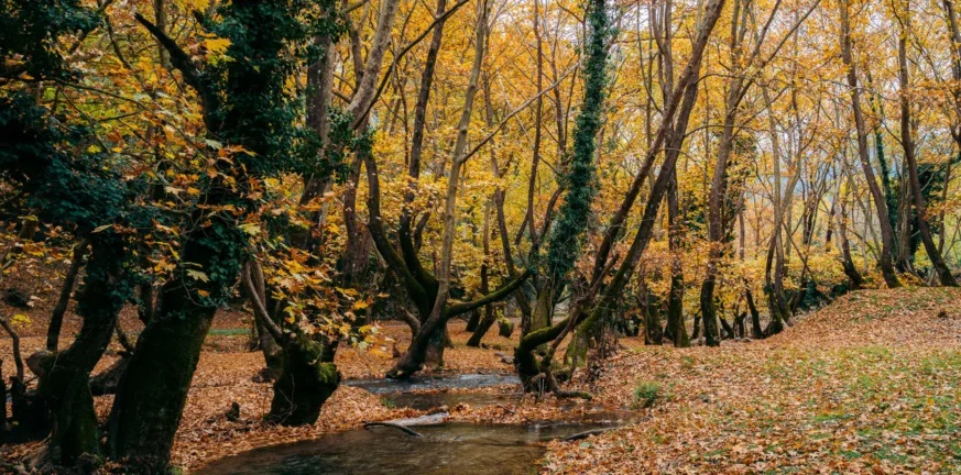Φθινόπωρο στην Πελοπόννησο: Οι πιο γοητευτικοί προορισμοί για weekend getaways