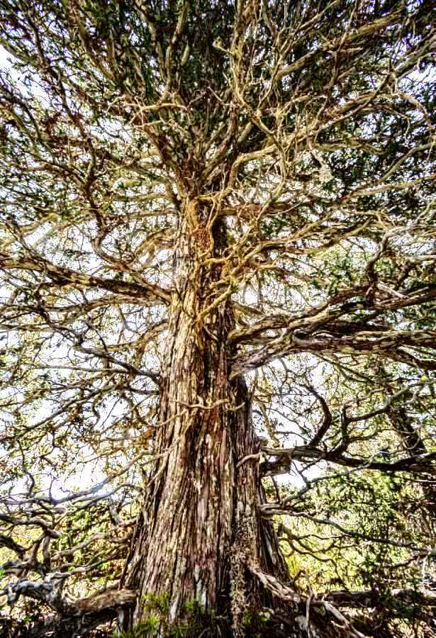  Οι Φευγάτοι - Εκτός Δρόμου - Ιερά Μονή Παναγίας Μαλεβής